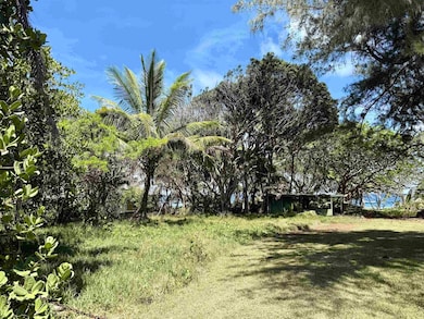 495 Haneoo Rd, Hana, HI 96713 - photo 5
