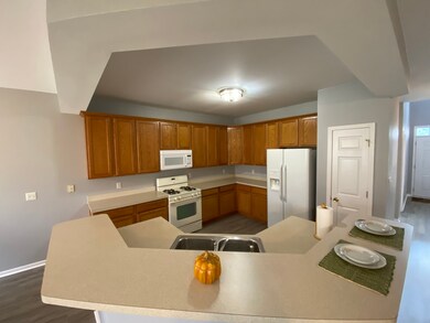 1460 Charlevoix Way, Schererville, IN 46375 - photo 7