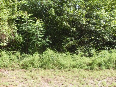 Loblolly Lane 5