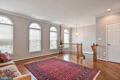 42817 Shaler St, Chantilly, VA 20152 - photo 4