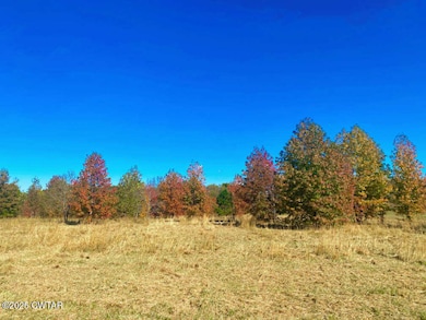 000 Running Deer Ln, Huron, TN 38345 - photo 2