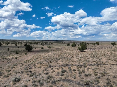 TL 500 Sheep Lake Rd, Riley, OR 97758 - photo 5