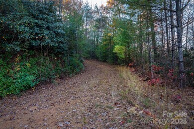 TBD S Fork Trail, Lake Toxaway, NC 28747 - photo 5