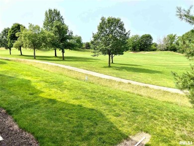 4587 N Thornhill Dr, Peoria, IL 61615 - photo 5