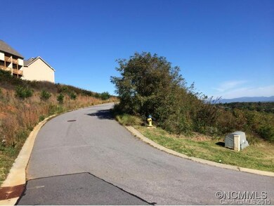 9999 Fallen Spruce Dr, Asheville, NC 28806 - photo 4