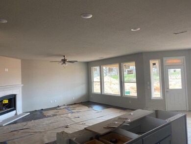 1256 County Road 4797, Boyd, TX 76023 - photo 4