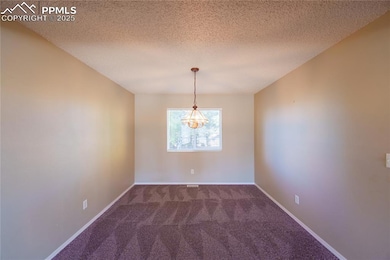 5536 Pioneer Mesa Dr, Colorado Springs, CO 80923 - photo 6