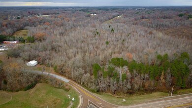 907 Highway 22 unit Evergreen, Dresden, TN 38225 - photo 3