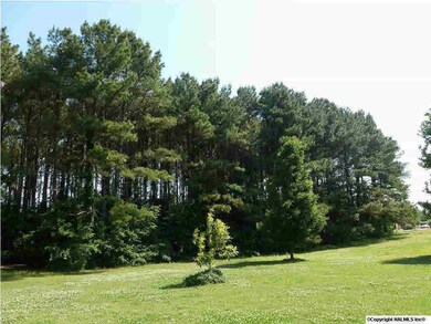 Private woods next to Property.