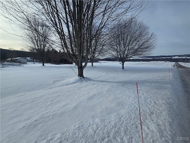 231 Cemetery Rd unit WS, Waterville, NY 13480 - photo 7