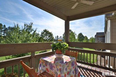 4511 N Tallgrass Ln, Peoria, IL 61615 - photo 5