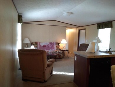 120 S Lakeview Ave, Burnside, KY 42519 - photo 5