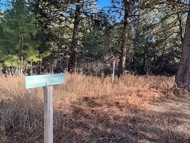 L129 Par Dr unit 129, Cascade, ID 83611 - photo 2