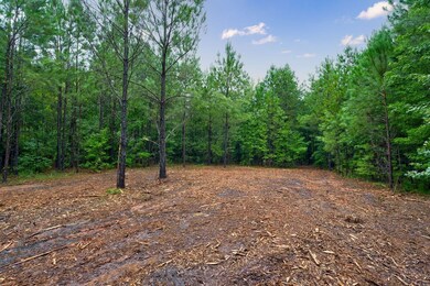 0 Prospect Church Rd, Norwood, GA 30821 - photo 6