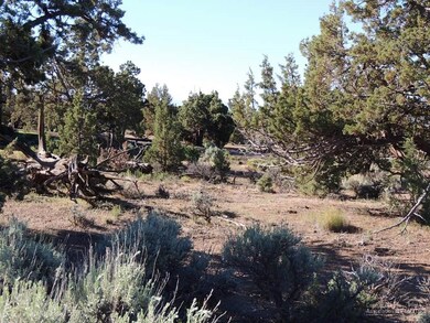 0 SW Vaqueros Way unit 201604390, Powell Butte, OR 97753 - photo 7