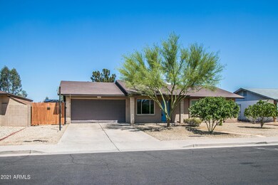 Hackamore St-2