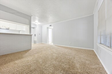 1645 W Main St unit 17, Houston, TX 77006 - photo 3