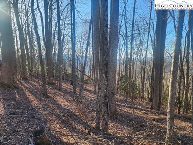 Beautiful seasonal long range views with potential