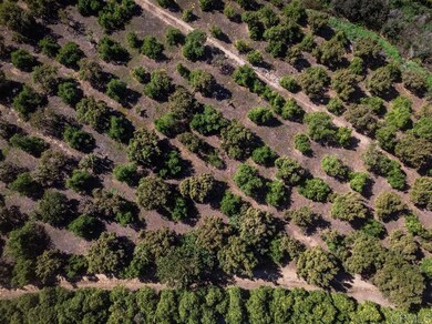 461 Wilshire Rd, Oceanside, CA 92057 - photo 3