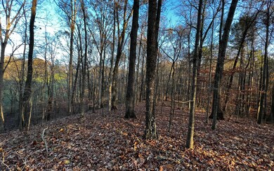 Additional View
