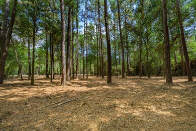 17526 E Terrace Oaks Dr, Waller, TX 77484 - photo 4