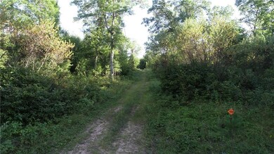 00000 Lhotka Rd, Grantsburg, WI 54893 - photo 6