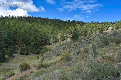 231 Deer Ln, Guffey, CO 80820 - photo 7