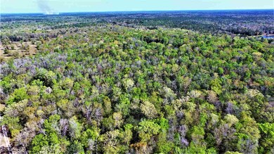 0 Governors Way unit 311407, Crawfordville, FL 32327 - photo 3