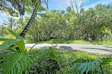 0 Government Beach Rd unit 724050, Pahoa, HI 96778 - photo 6