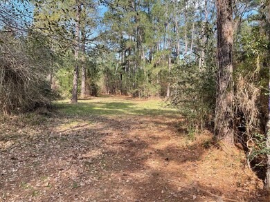 TBD Longbow St, Hockley, TX 77447 - photo 6