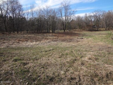 5185 E 96th St, Newaygo, MI 49337 - photo 7