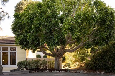 594 Rancho Santa fe Rd, Encinitas, CA 92024 - photo 6