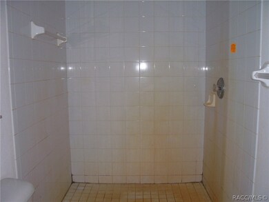 Master Bathroom Shower