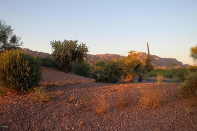 3873 S Gambel Quail Way unit 14, Gold Canyon, AZ 85118 - photo 6