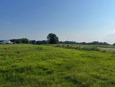 0 53 Hwy unit 24327, Clio, AL 36017 - photo 4