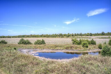 Sh 34 unit @ FM 1566, White Rock, TX 75496 - photo 7