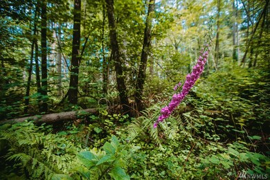 0 SW 192nd St, Vashon, WA 98070 - photo 4