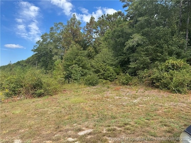 909 Wiregrass Rd, Hamlet, NC 28345 - photo 2