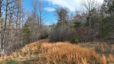 TBD Highway 8 E, Mena, AR 71953 - photo 4