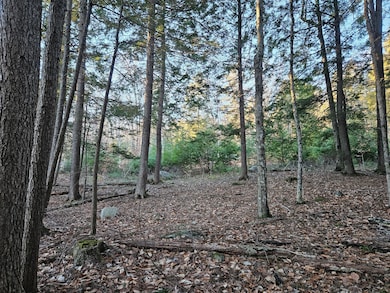 41-4 Tanner Way, Bridgton, ME 04009 - photo 7