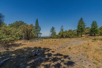 20117 Neilson Rd, Pine Grove, CA 95665 - photo 7