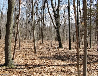 1313 State Route 57, Mansfield Twp., NJ 08865 - photo 5