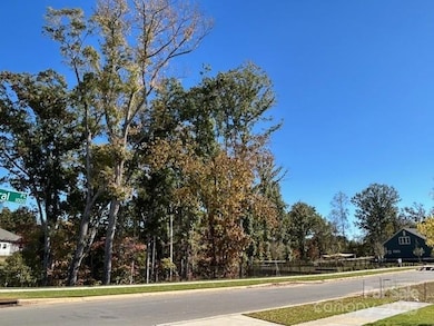 1002 Pastoral Place, Waxhaw, NC 28173 - photo 4