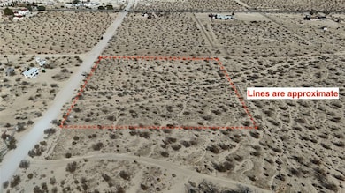 3465 Porter Blvd, Joshua Tree, CA 92252 - photo 5