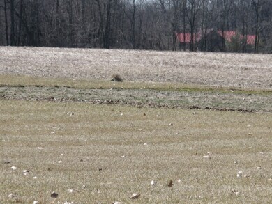 000 County Road 29, Auburn, IN 46706 - photo 4