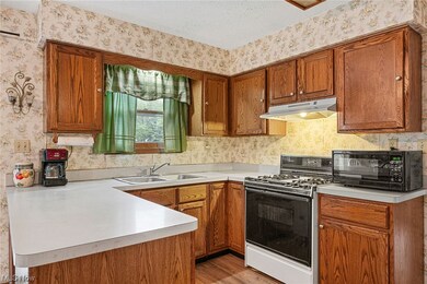 849 Robinwood Ave, Sheffield Lake, OH 44054 - photo 5