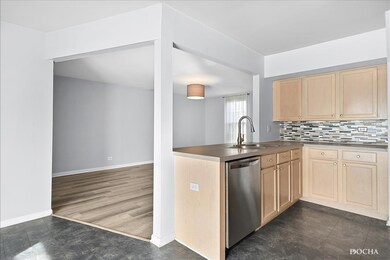 989 Symphony Dr unit 2215, Aurora, IL 60504 - photo 5