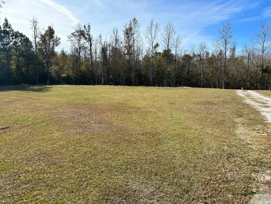 Lot 7 Mack Rd, Conway, SC 29526 - photo 6