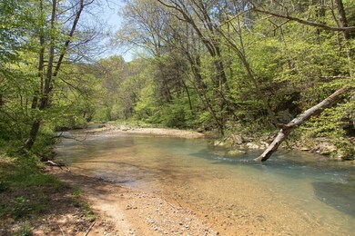 7262 Sinking Creek Rd, Linden, TN 37096 - photo 4