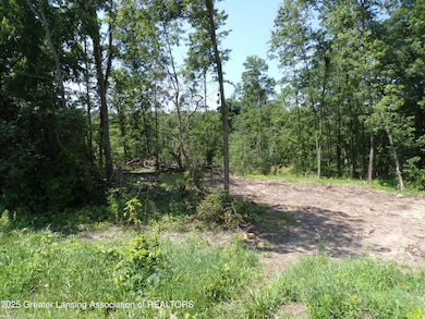 0 S Lacey Lake Rd unit 289887, Bellevue, MI 49021 - photo 2